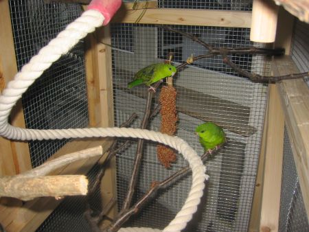 Schau mal Christo, da hängt unsere geliebte Seilschaukel!